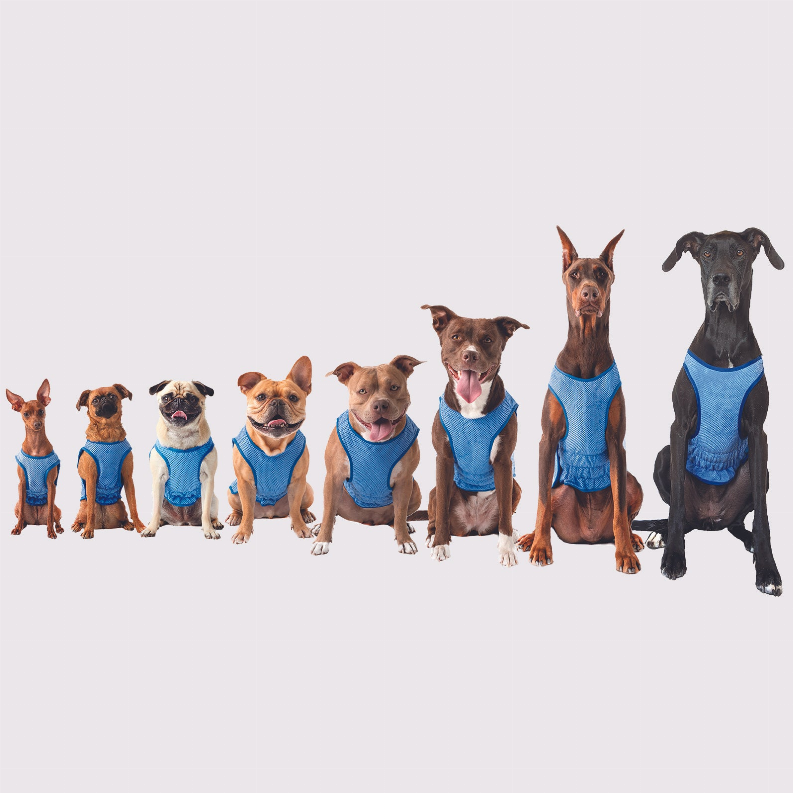 GF Pet ElastoFit Ice Vest - Luxvetco