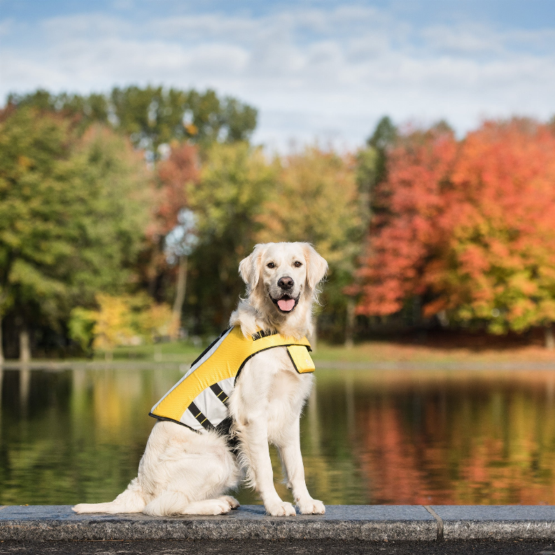 GF Pet Life Vest - Luxvetco