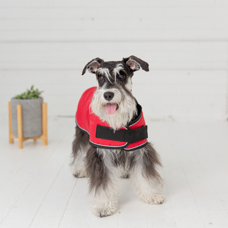 GF Pet Dog Blanket Jacket - Luxvetco