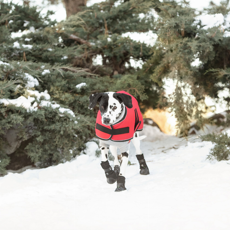 GF Pet Dog Blanket Jacket - Luxvetco