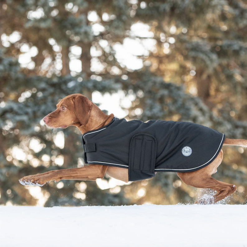 GF Pet Dog Blanket Jacket - Luxvetco