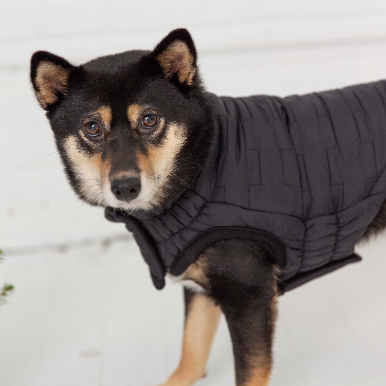 GF Pet Reversible Elasto-Fit Chalet Jacket - Luxvetco