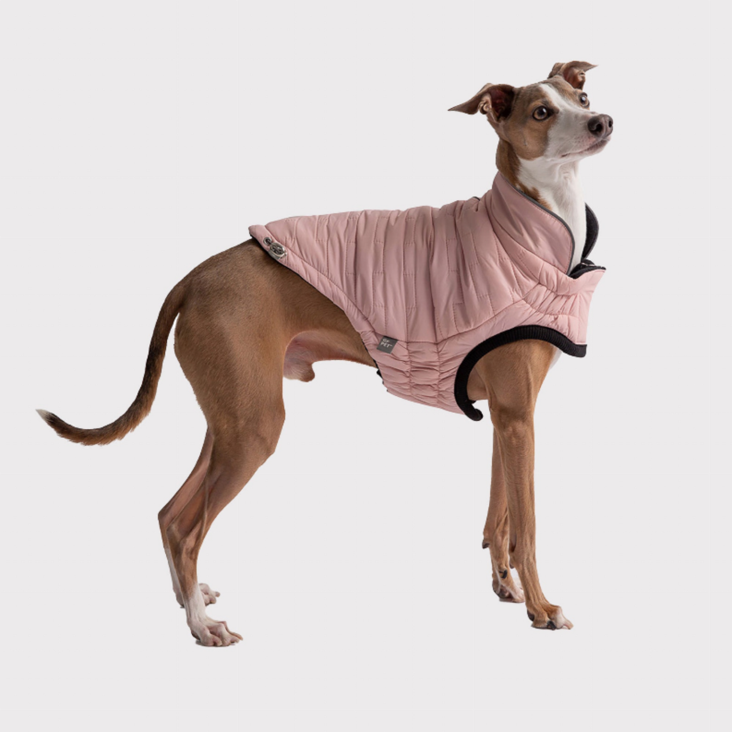 GF Pet Reversible Elasto-Fit Chalet Jacket - Luxvetco
