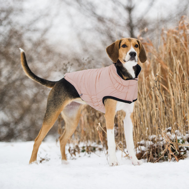 GF Pet Reversible Elasto-Fit Chalet Jacket - Luxvetco