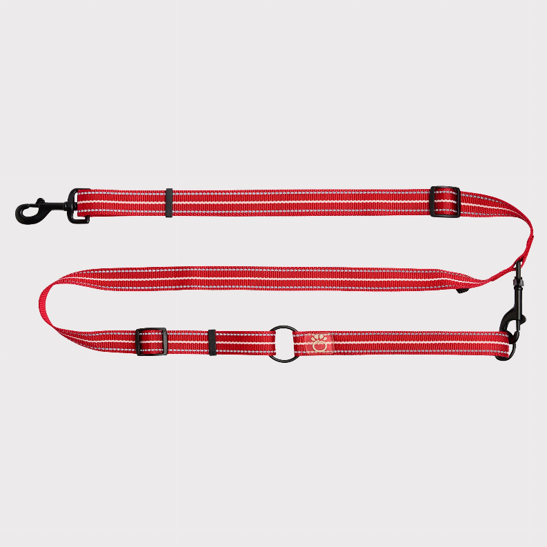 GF Pet Reflective Leash - EEZY-6 - Luxvetco