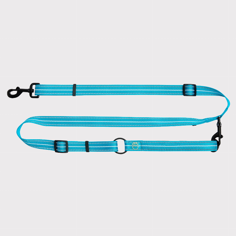GF Pet Reflective Leash - EEZY-6 - Luxvetco