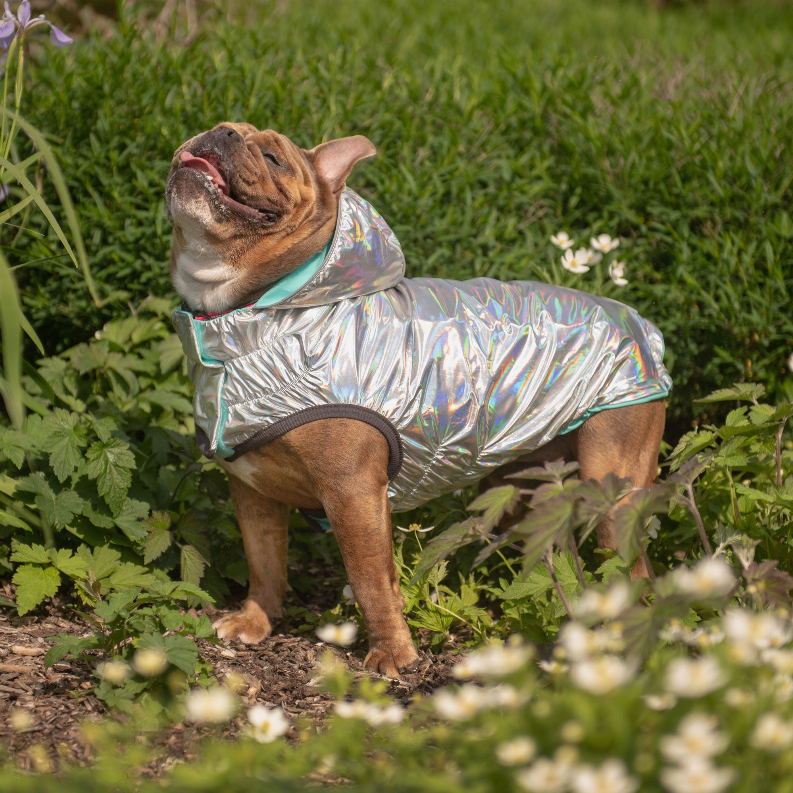 GF Pet Reversible Raincoat - Luxvetco