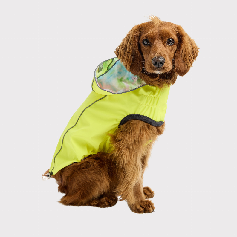 GF Pet Reversible Raincoat - Luxvetco