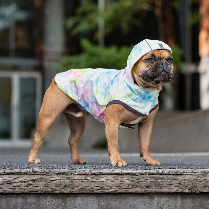 GF Pet Reversible Raincoat - Luxvetco