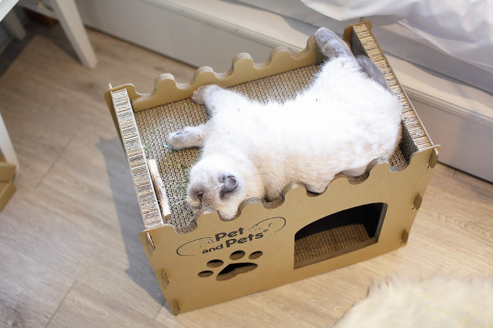 Pet and Pets Bungalow Eco Pet House - Luxvetco