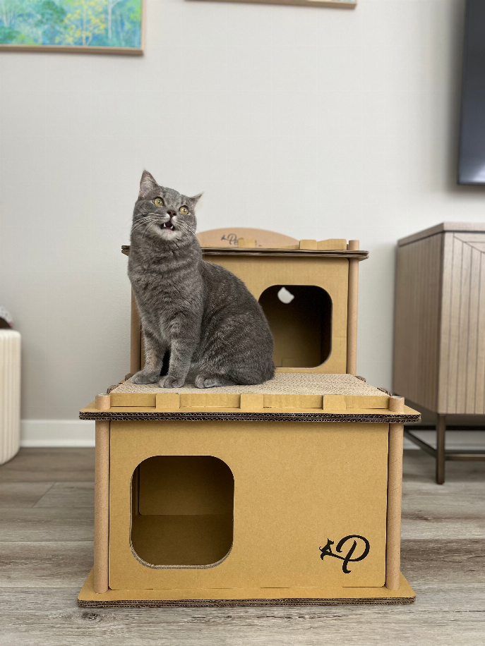Petique Feline Villa - Luxvetco