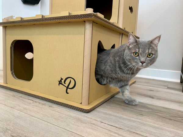 Petique Feline Villa - Luxvetco