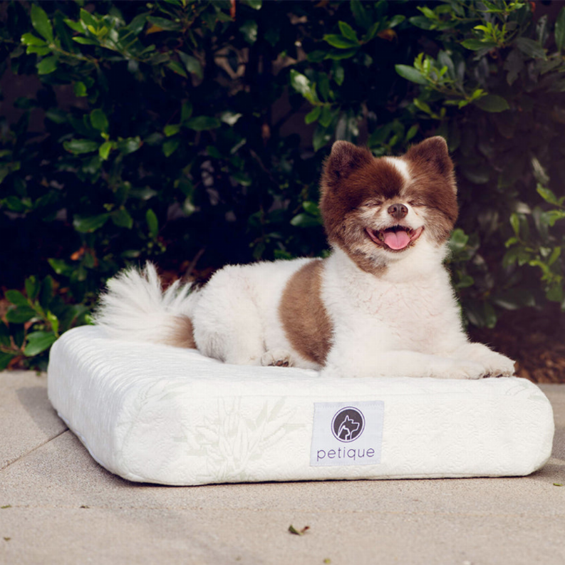 Bamboo Memory Foam Pet Bed