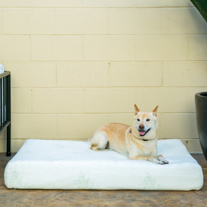 Bamboo Memory Foam Pet Bed
