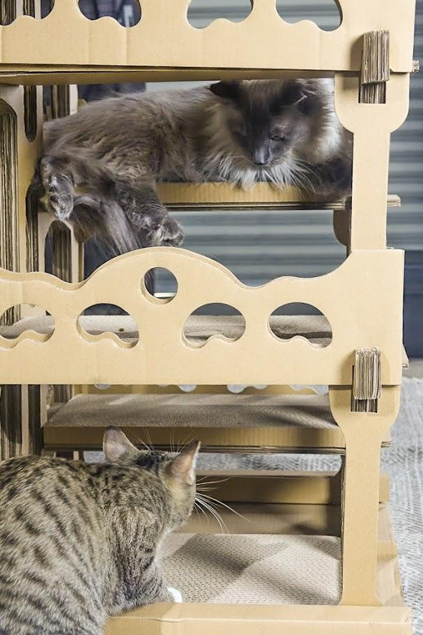 Feline Chateau Cat House - Luxvetco