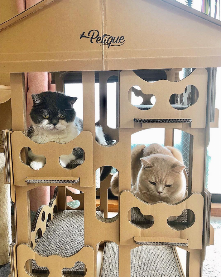Feline Chateau Cat House - Luxvetco