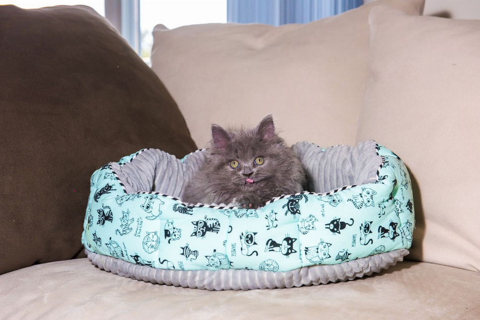 Reversible Round Pet Bed - Luxvetco