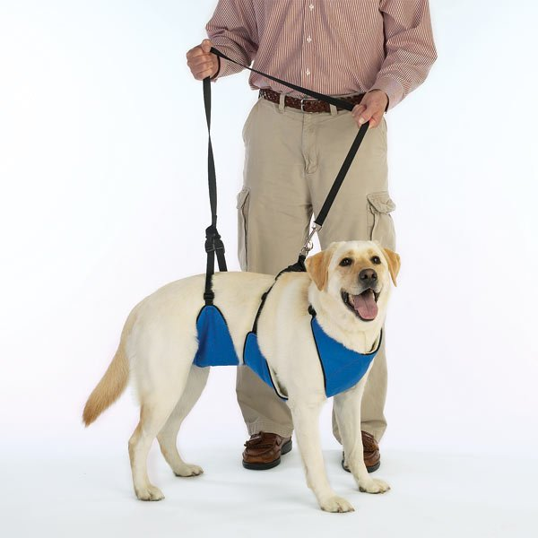 TPH Lift & Lead 4 in 1 - Luxvetco