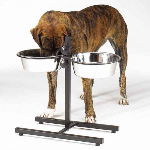 ProSelect Adjustable Diner with/Bowls 160oz - Luxvetco