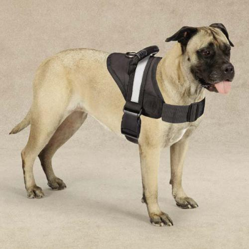 Guardian Gear Excursion Harnesses 36-46In - Luxvetco