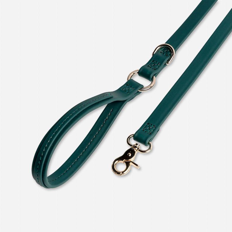 Jump Around Biothane Leash - Luxvetco