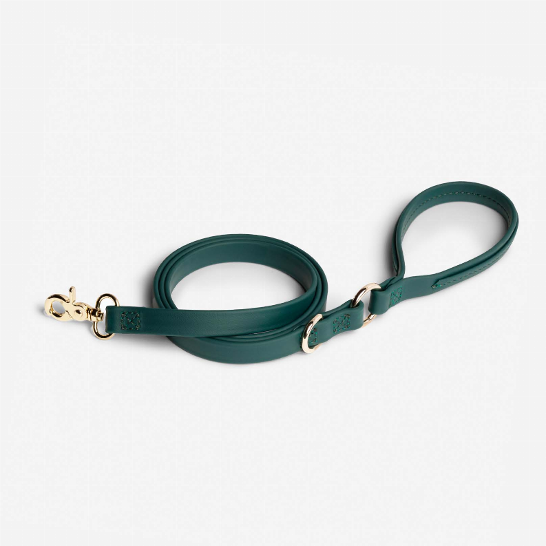 Jump Around Biothane Leash - Luxvetco