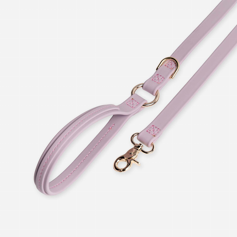 Jump Around Biothane Leash - Luxvetco