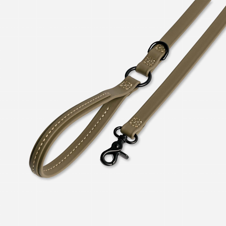 Jump Around Biothane Leash - Luxvetco