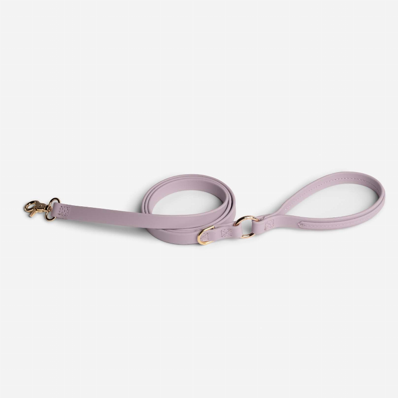 Jump Around Biothane Leash - Luxvetco
