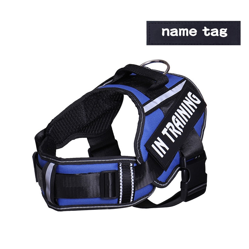 KOMMILIFE Adjustable Nylon Dog Harness Personalized - Luxvetco