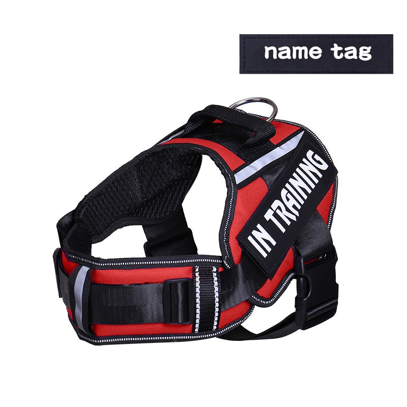 KOMMILIFE Adjustable Nylon Dog Harness Personalized - Luxvetco