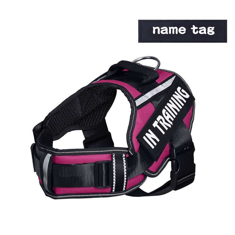 KOMMILIFE Adjustable Nylon Dog Harness Personalized - Luxvetco